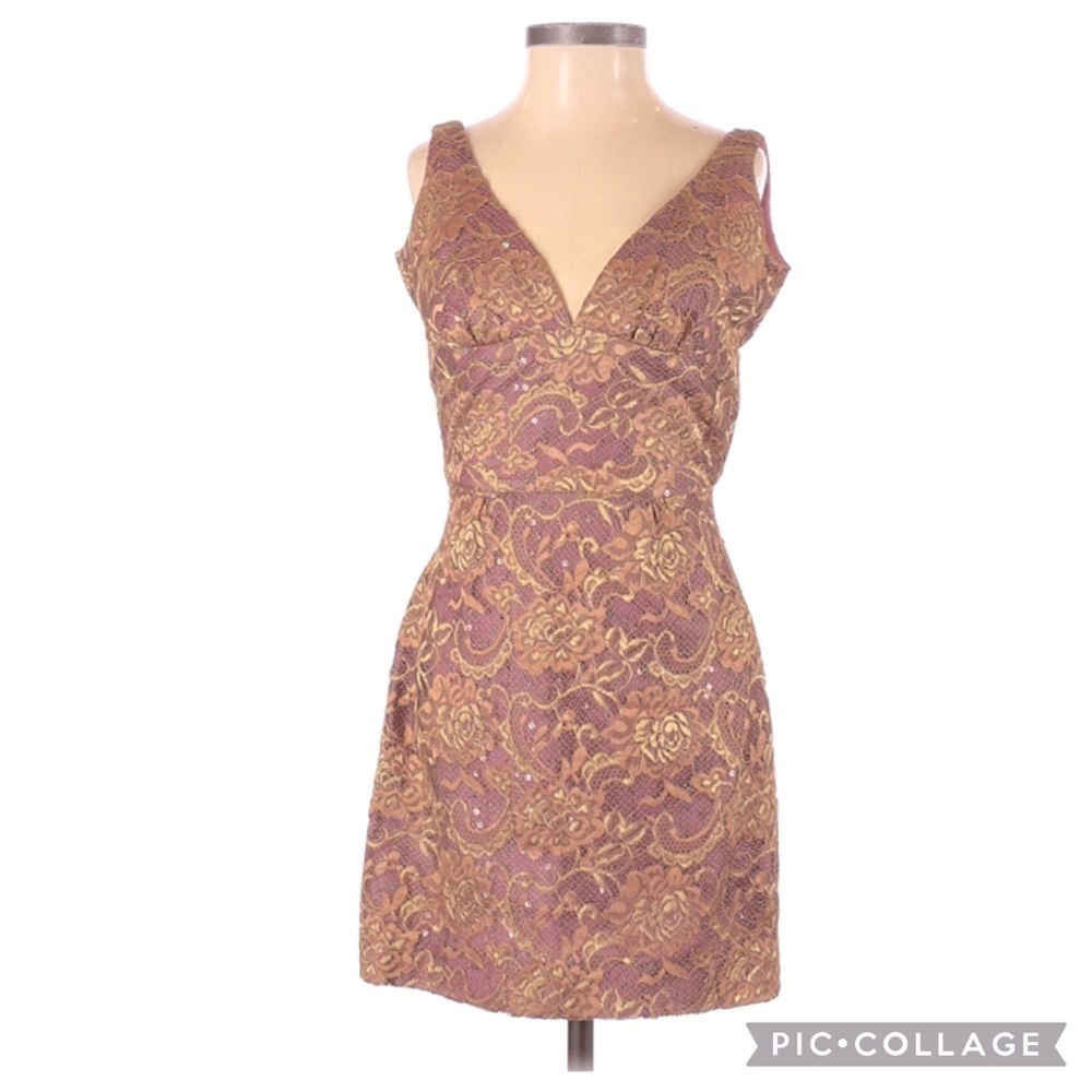 Trina Turk Rare & Hard to Find Pink & Gold Floral & Jacquard Lace Size 2 Dress